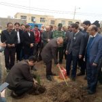 روز درختکاری در خدابنده+تصاویر