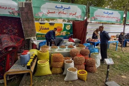برگزاری جشنواره گردو در خدابنده+عکس