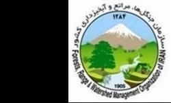زنجان جزو استان‌های برتر در برگزاری برنامه‌های هفته منابع طبیعی