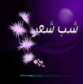 برگزاری شب شعر به مناسبت سوم خرداد در خدابنده