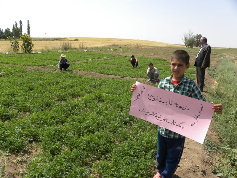 اجرای مزرعه تابستانی دانش آموزان خدابنده در راستای غنی سازی اوقات فراغت