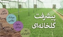 کارایی مصرف آب در گلخانه‌ها حدود 9 برابر فضای باز است