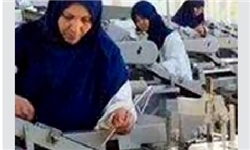 ایجاد42فرصت شغلی درخدابنده