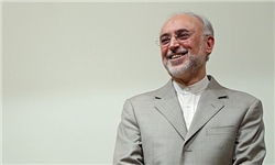 اشتاین مایر: مذاکرات مهمی درباره مسئله راستی آزمایی ایران با آمانو داشتم/ رایزنی‌های معاونان ظریف، کری و موگرینی/صالحی به وین می‌رود