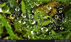 بارندگی در زنجان ادامه می‌یابد/ کاهش دمای استان زنجان