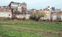 حل مشکل زمین‌های قیدار
