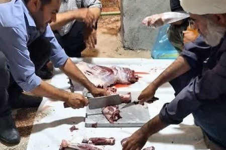 توزیع گوشت قربانی بین خانواده‌های نیازمند خدابنده‌ای