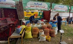 برپایی ۴۰ غرفه محصولات محلی در خدابنده