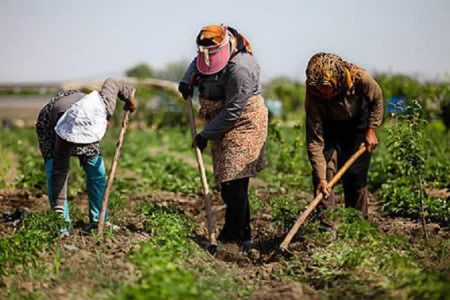 پایش شرکت‌های تعاونی روستایی در خدابنده