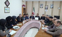 بستر شاد باید مدیریت شود