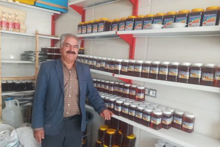 اشتغالزایی برای 18 نفر با زنبورداری در خدابنده