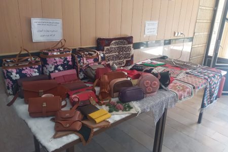 خدابنده پایلوت طرح کارآفرین کشور است