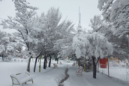 قیدار سفید‌پوش شد