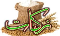 جمع‌آوری 15میلیارد ریال زکات فطره در خدابنده