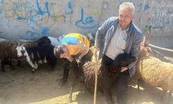 نظارت ۷ ناظر بر ذبح قربانی در خدابنده