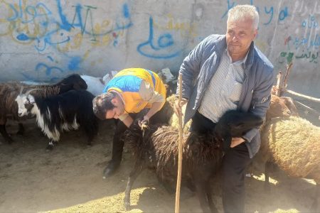 نظارت 7 ناظر بر ذبح قربانی در خدابنده