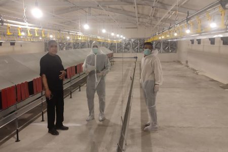 بازدید رئیس دامپزشکی خدابنده از اولین مزرعه پرورش مرغ مادر