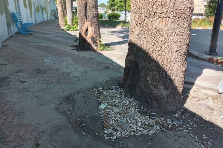 صحنه زشت در پارک مزار شهدای قیدار
