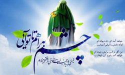 شیعه با امامت مهدوی مسیر حق پیمود