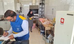 کشف و معدوم‌سازی ۱۵کیلوگرم مواد غیربهداشتی در خدابنده