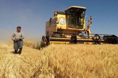 پرداخت ۱/۸ هزار میلیارد تومان از مطالبات گندمکاران خدابنده‌ای