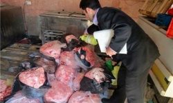 معدوم‌سازی ۱۴ کیلوگرم مواد غیربهداشتی در خدابنده