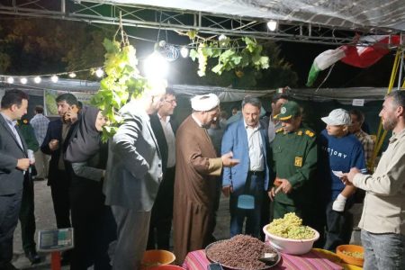 برگزاری جشنواره انگور در خدابنده+عکس