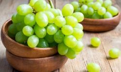 برگزاری اولین جشنواره انگور در خدابنده