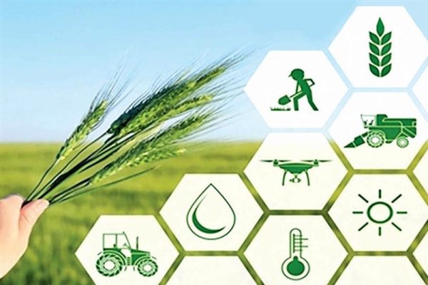 آغاز طرح بیمه محصولات کشاورزی در خدابنده