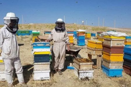 اشتغال‌زایی با شهد شیرین عسل در خدابنده